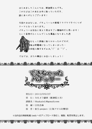 [Caramel Ginza (Shakain Eru)] Dekichatta Patchouli (Touhou Project) [English] - Page 14