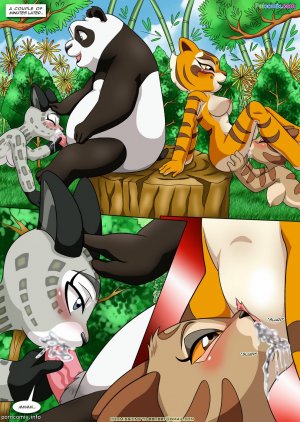 Kung Fu Panda- True Meaning of Awesomeness - Page 13