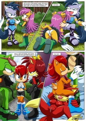 [Palcomix] Sonic Project XXX 4 – Sonic The Hedgehog - Page 23