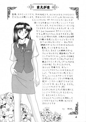 (C52) [System Speculation (Imai Youki)] TECHNICAL S.S. 1 2nd Impression (Neon Genesis Evangelion) - Page 5