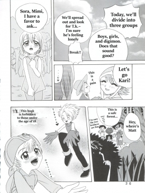 [Studio Tar (Shamon)] Hikari Denpa-kei (Digimon Adventure) [English] - Page 5