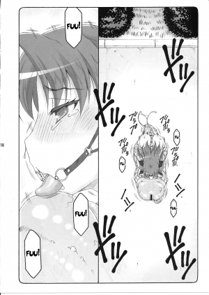 (C87) [Abarenbow Tengu (Izumi Yuujiro)] Kotori 11 (Fate/stay night) [English] [desudesu] - Page 18