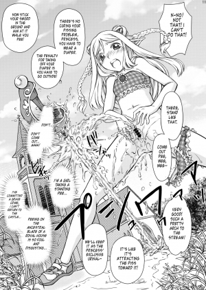 (Omu Fes 3) [Junkissa Gen (Tsurimiya Gen)] Elf no Himekishi ga Sotsugyou dekite Iru Hazu ga Nai [English] - Page 13