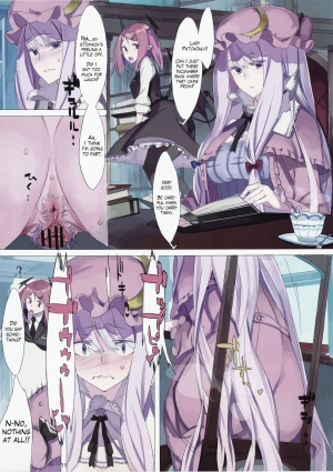 (Reitaisai 9) [Fakepucco (Usui)] EG EL GENSOW (Touhou Project) [English] =LWB= - Page 11
