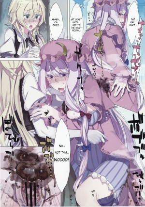 (Reitaisai 9) [Fakepucco (Usui)] EG EL GENSOW (Touhou Project) [English] =LWB= - Page 15