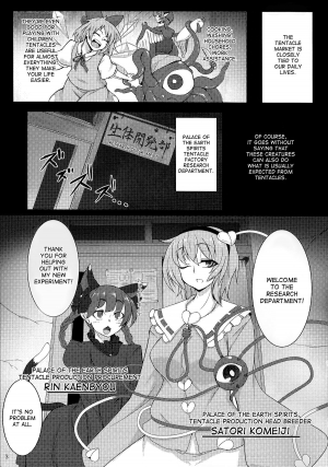 (Reitaisai 11) [Hadairo Rooibos Tea (Pandain)] Shokushu Chireiden 2 ~Satori Kakuchou Kaihatsu~ (Touhou Project) [English] [desudesu] - Page 3