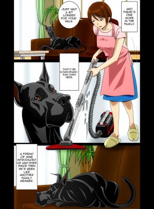 Wonderful Life- Hentai - Page 11