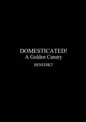Benedikt- Domesticated! – Fansadox Collection 472 - Page 10