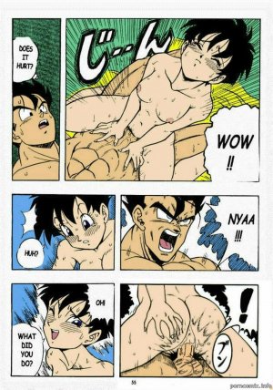 Garland- Dragon Ball H - Page 19