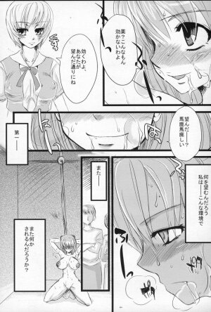 (C69) [Sarurururu (Doru Riheko)] Shoujo Placebo (Neon Genesis Evangelion) - Page 17