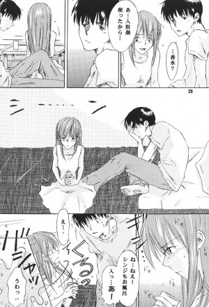 [Mikan-bako o koyonaku aisuru kai (Shisen Mirai)] W R #3 (Neon Genesis Evangelion) - Page 28