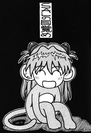 (C54) [UGO (Nibasha Yureru)] SAL (Neon Genesis Evangelion) - Page 26
