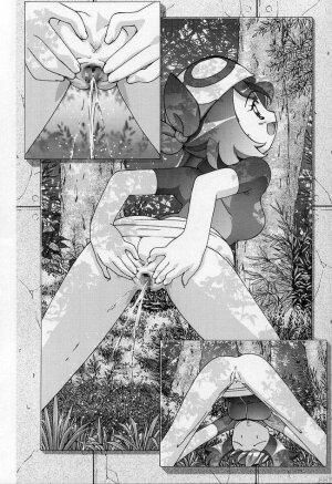 (C66) [Gambler Club (Kousaka Jun)] PM Gals! (Pokémon) [English] [E-H Translations] - Page 45