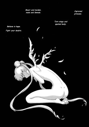 [BLACK DOG (Kuroinu Juu)] Submission Sailorstars (Bishoujo Senshi Sailor Moon) [English] [2002-09-20] - Page 11