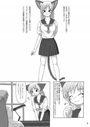 (C64) [Aa, Warera Katou Hayabusa Sentoutai (Katou)] Maru-Maru | Maru2 - Page 3