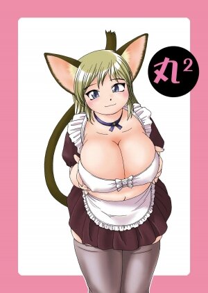 (C64) [Aa, Warera Katou Hayabusa Sentoutai (Katou)] Maru-Maru | Maru2 - Page 24