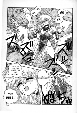 [Yui Toshiki] Princess Quest Saga [English] [SaHa] - Page 36