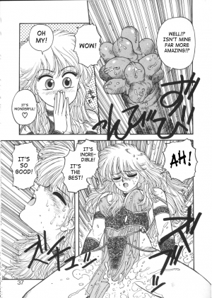 [Yui Toshiki] Princess Quest Saga [English] [SaHa] - Page 38