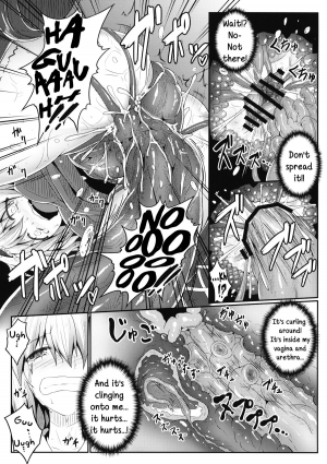 (Reitaisai 10) [e☆ALI-aL! (Ariesu Watanabe)] Nozomiusu | Faint Hope (Touhou Project) [English] - Page 11