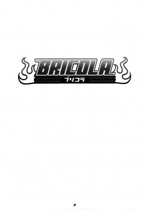 (C72) [Diogenes Club (Haikawa Hemlen)] BRICOLA (Bleach) [English] [Doujin-Moe.us] - Page 3