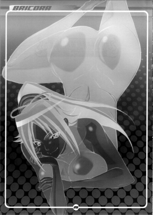 (C72) [Diogenes Club (Haikawa Hemlen)] BRICOLA (Bleach) [English] [Doujin-Moe.us] - Page 25